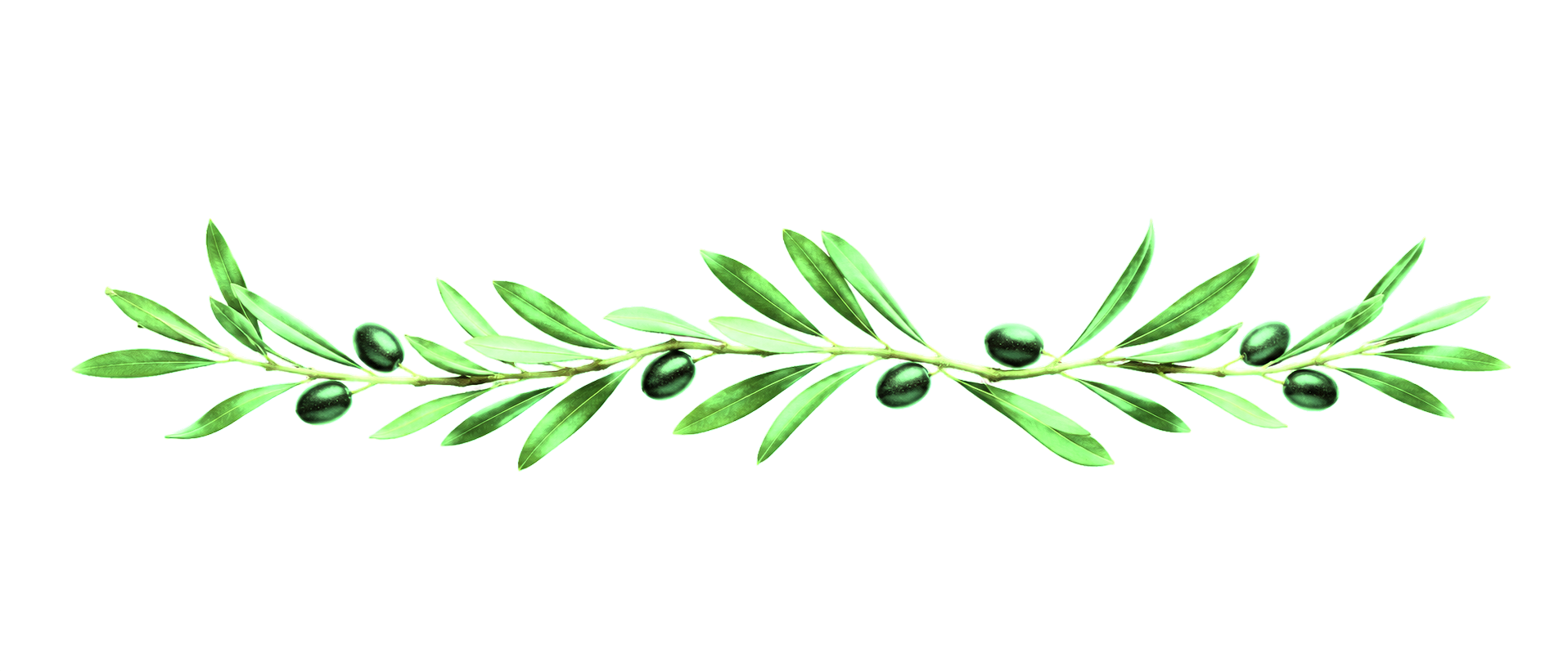 Olive branch separator